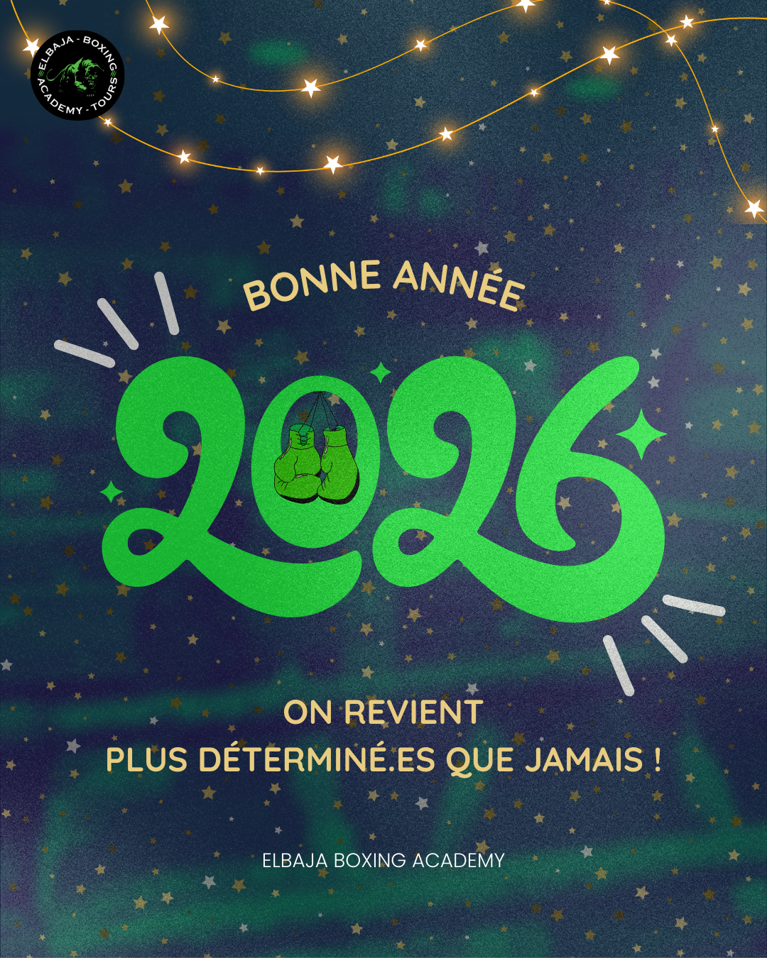 Bonne année 2026 !